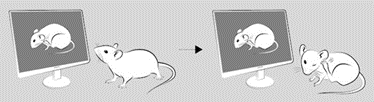 图片2.gif 图片2.gif